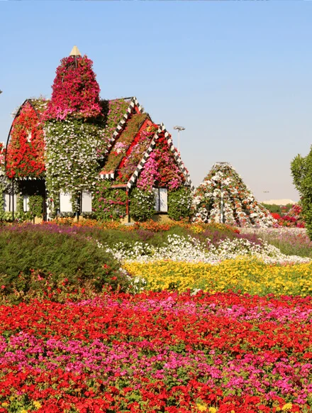 miracle_garden