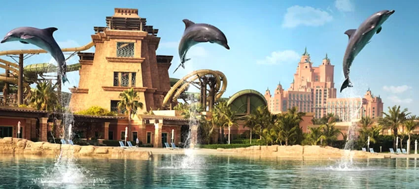 atlantis_dolphin_meet